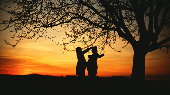 In joyful silhouette,pregnant women stand by a tree trunk in a field radiating against the dramatic hues of a sunset sky. A celebration of shared expectancy,framed by the enchanting canvas of nature's twilight spectacle