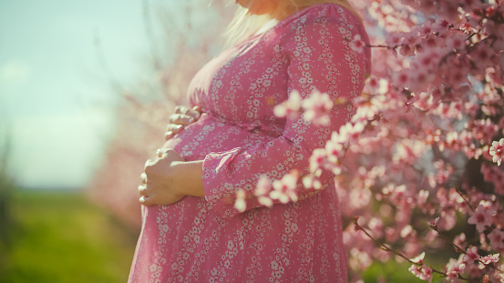 In the gentle embrace of cherry blossoms,a midsection side view captures the grace of a pregnant woman standing with hands on her stomach in a park during a sunny day. Nature's beauty intertwines with the anticipation of new life