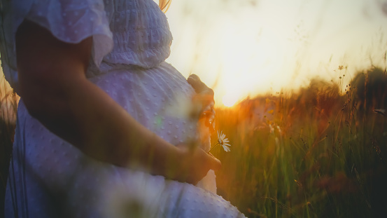 In a tender side view silhouette,witness the midsection of a pregnant woman kneeling on a field during sunset,holding a flower,a symbol of life and growth,creating a poignant and serene scene in the golden glow of the evening