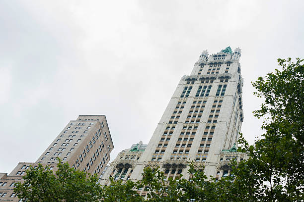 istock Woolworth Building, New York City 181458281