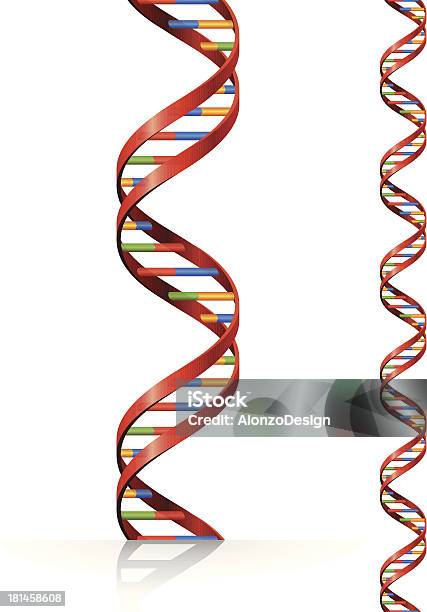 Adn Vecteurs libres de droits et plus d'images vectorielles de Molécule - Molécule, Protéine, Spirale