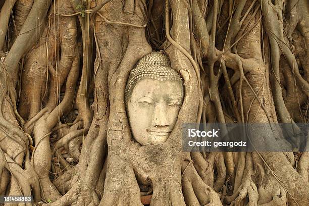 ストーンヘッド Traped Budda の木に根ワットマハタート - アジア大陸のストックフォトや画像を多数ご用意 - アジア大陸, アジア文化, アユタヤ市