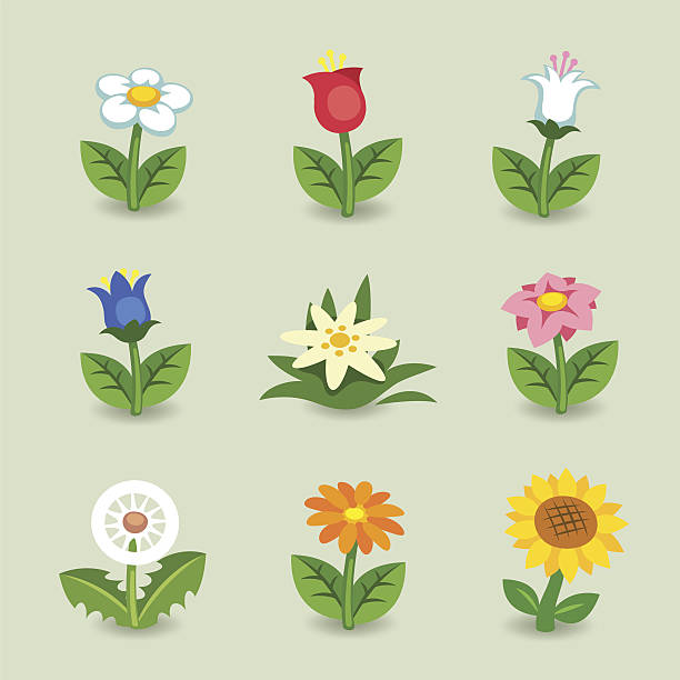 말풍선이 있는 아이리스입니다 설정 - tulip sunflower single flower flower stock illustrations