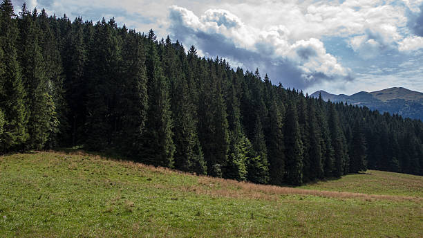 istock Koscieliska Valley in Tatry Mountains 181459386