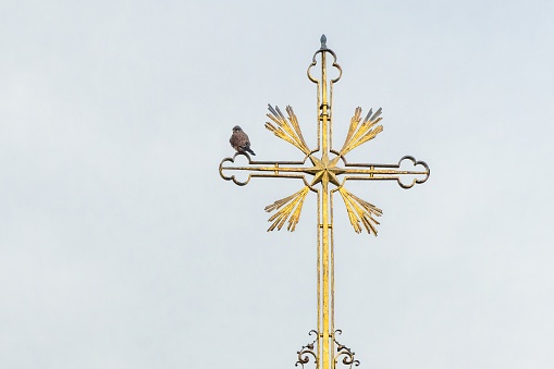 An golden cross on the top of a church in Prague. A bird in the city.
