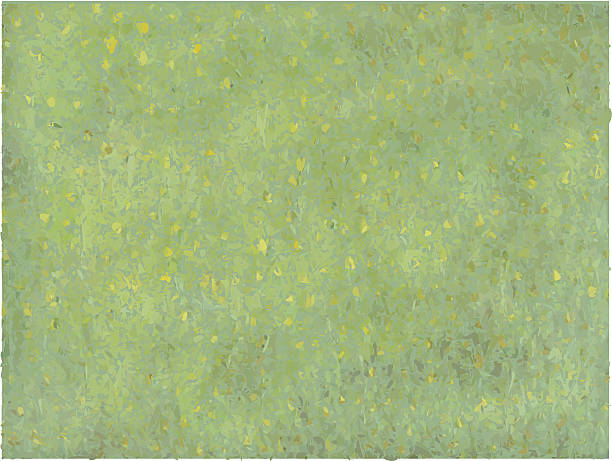 Grass background A green background with texture and the randomness of real live nature. moss stock illustrations
