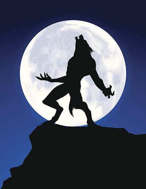 Werewolf Howl Witch on a broom, zombies corpses and more. Files included – jpg, ai (version 8 and CS3), svg, and eps (version 8) halloween moon stock illustrations