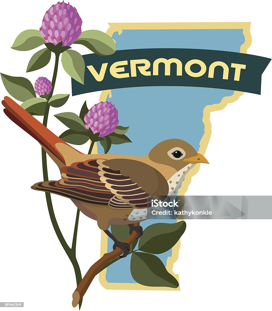 Vermont Państwowy ptak i kwiaty - Grafika wektorowa royalty-free (Stan Vermont)