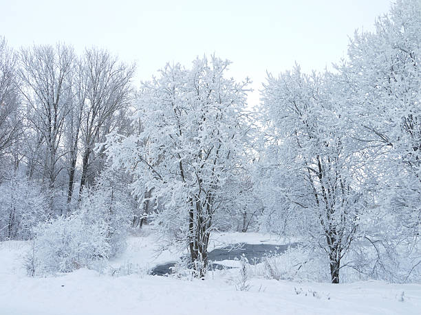 istock Wood in the winter 181461544