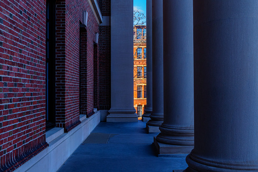 Cambridge, Massachusetts, USA - November 23, 2023: The architectural columns of the Harry Elkins Widener Memorial Library building's main entrance. The Widener Memorial Library, housing some 3.5 million books in its stacks, is the center­piece of the Harvard College Libraries. Another Harvard Yard building is seen in the sunlit background.