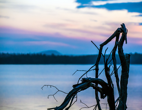 Beautiful scenic view of a vibrant sunrise over the ottawa river with the silhouette of tree branches on a cold morning in September.