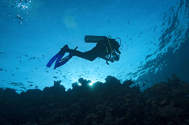 istock Scuba diver on coral reef at sunset 181467557