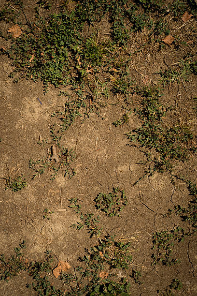 terra di - dirt road road desert road gravel foto e immagini stock