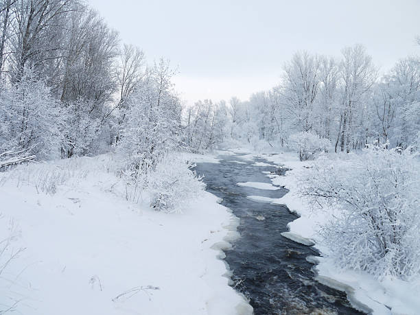 istock Wood in the winter 181470425