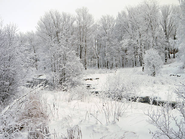 istock Wood in the winter 181470507