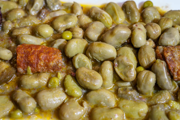Spanish cuisine. Broad beans, Catalan style. Catalan-style broad beans. Catalan-style beans. Spanish cuisine. Broad beans, Catalan style. Habas a la catalana. Fabes a la catalana. fabes stock pictures, royalty-free photos & images