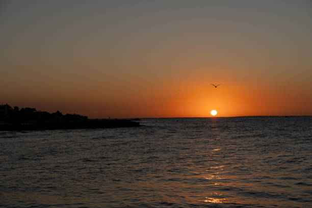 istock Beautiful sunset over the sea from Holbox, Mexico 1814729230