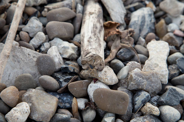 istock Pebble of mountain. 1814750885