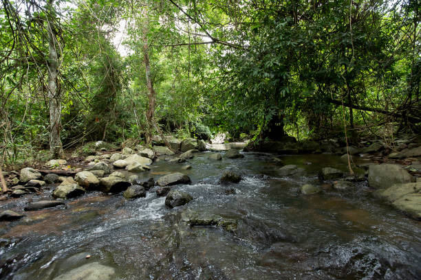 istock Forest, Waterfall, Lake, Landscape - Scenery, Scenics - Nature 1814752837