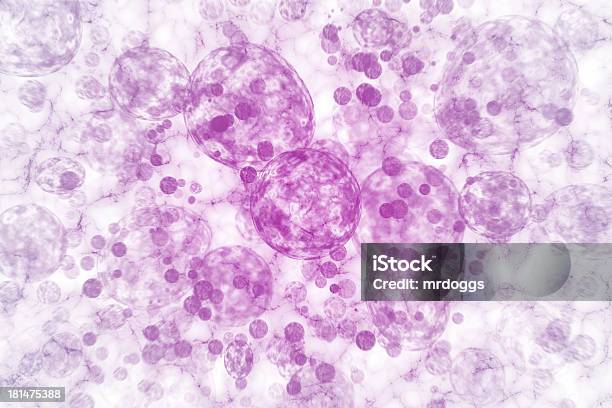 Mikroorganizm Komórek - zdjęcia stockowe i więcej obrazów Trombocyt - Trombocyt, Abstrakcja, Bakteria