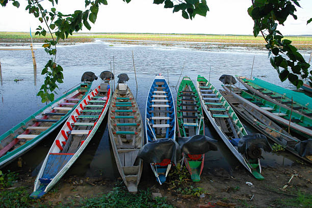 istock tour boats parked on a long line 181476219