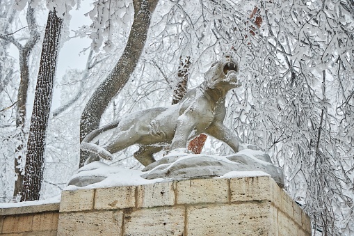 Zheleznovodsk, Russia - December 07, 2022: A city covered with snow and ice. Sculpture of a lion. Mineral waters of the Caucasus.