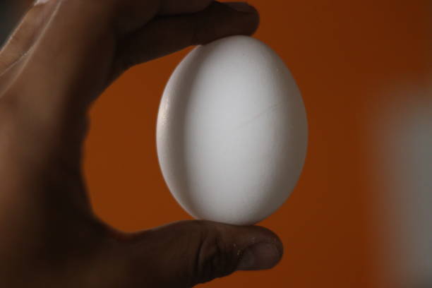 istock An Egg in the hand with orange background 1814767128