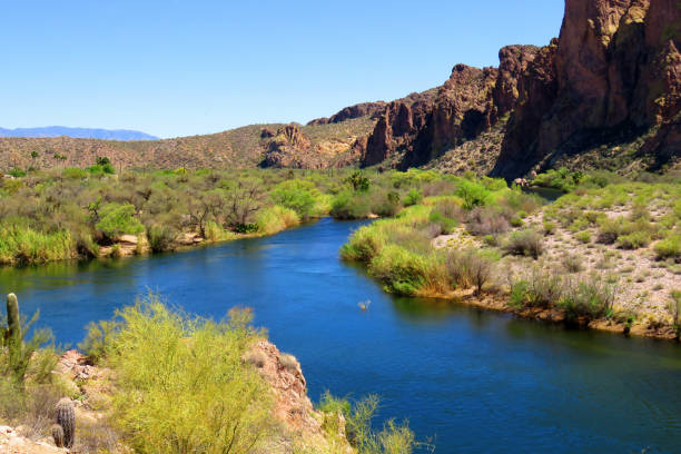 istock Salt River Recreation Area Arizona 1814768898