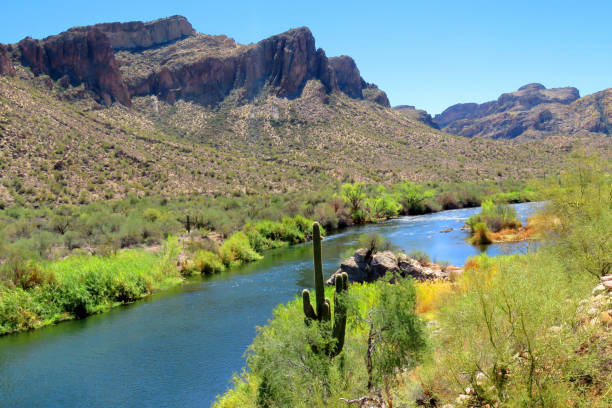 istock Salt River Recreation Area Arizona 1814771693