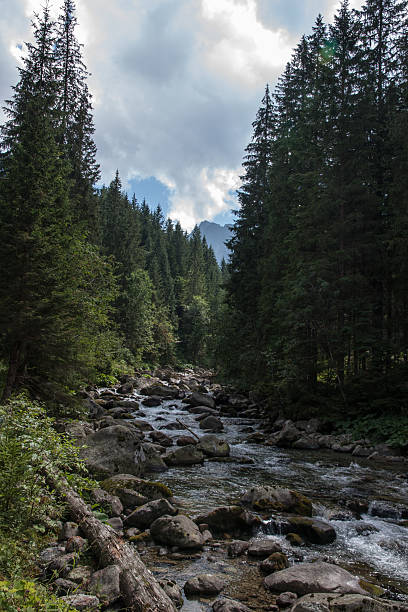 istock Bielovodska Valley in Tatry Mountains 181478217