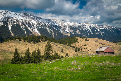 Picturesque spring rural landscape with rickety wooden hut and high snowy Piatra Craiului mountains, Pestera village, Transylvania, Romania, Europe