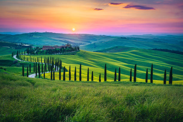 istock Amazing view with green grain fields at sunset, Tuscany, Italy 1814782986