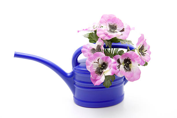 istock Blue plastic watering can with floral decoration 181478484