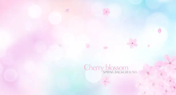 Vector illustration of Blossom background with bokeh light and sakura flowers.