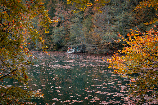 Autumn view of Bolu, Yedigöller National Park. The forest consists of beech, hornbeam, oak, alder, maple, elm, aspen, yellow and black pine tree species. It gives colorful images in the autumn season. Water flowing from high altitudes forms small waterfalls. Taken in daylight with a full frame camera.