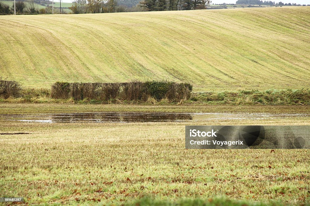 Paesaggio autunnale campi in Co.Cork, Irlanda. - Foto stock royalty-free di Agricoltura