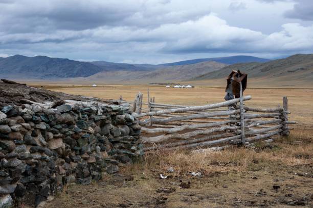 アルタイ山脈の遊牧民のキャンプを見渡す - independent mongolia 写真 ストックフォトと画像