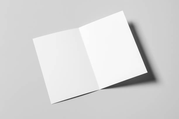 istock A4 Bi-Fold Brochure Mockup on Grey Background. 3D Rendering in Hand 1814817885