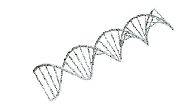 istock 3D Rendering of DNA Double Helix Structures in Blue and White. 3D render. 1814822361