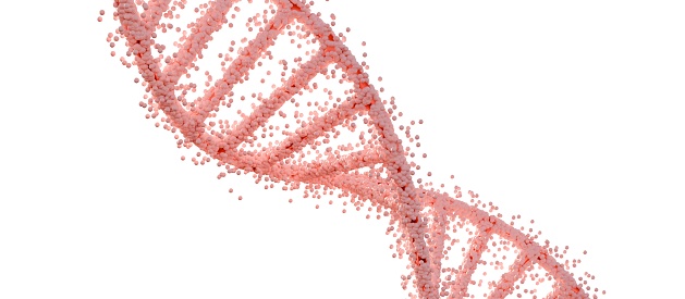 Pink Double Helix DNA Molecule on White Background.