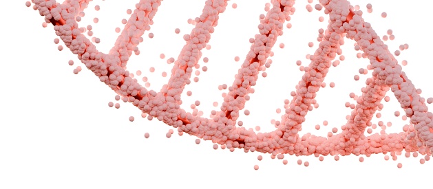 Pink Double Helix DNA Molecule on White Background.