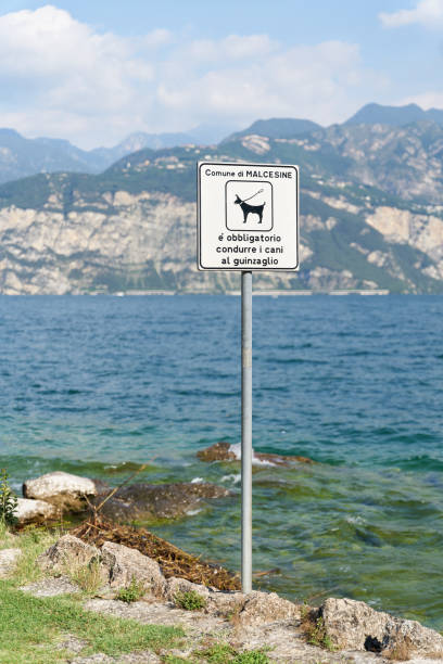 Dogs must be kept on a lead