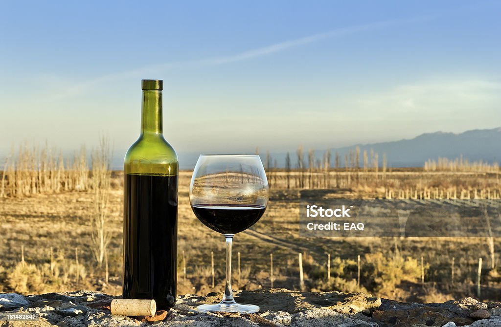 Copa y botella de vino tinto - Foto de stock de Invierno libre de derechos