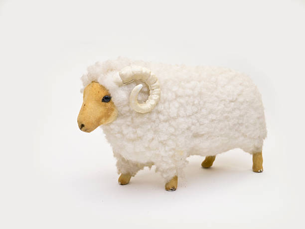toy lamb toy lamb isolated on white background meek as a lamb stock pictures, royalty-free photos & images