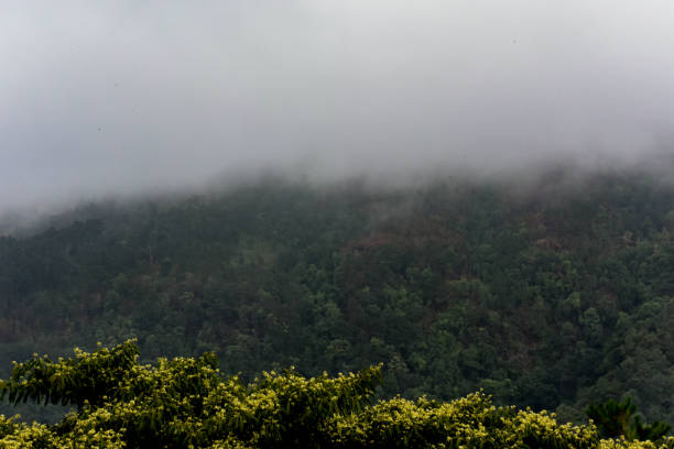 Free Stock Photo of Mountain Covered in Trees Under Cloudy Sky ...