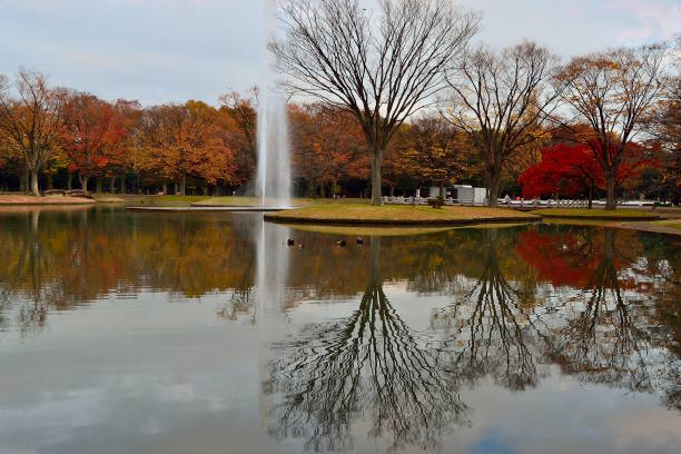 istock Autumn in Japan 181484447
