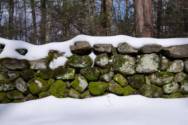 istock rock wall covered in snow connecticut 1814849022