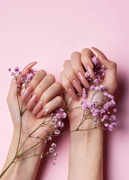 istock Female hands with beautiful manicure on pink background 1814867363