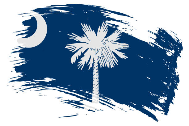 사우스 캐롤라이나 미국 주 브러시 스트로크 플래그 벡터 배경입니다. 손으로 그린 그런 지 스타일 고립 된 배너 - south carolina flag interface icons symbol stock illustrations