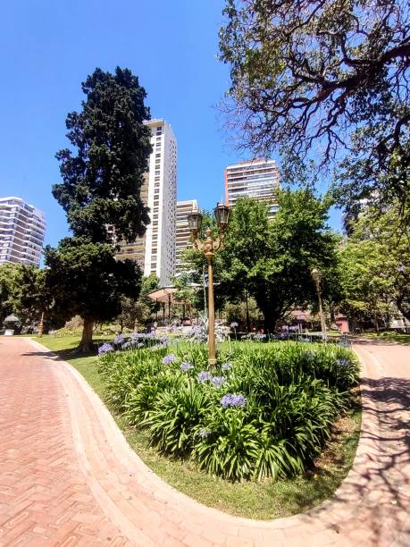 istock The park ravine 1814884115